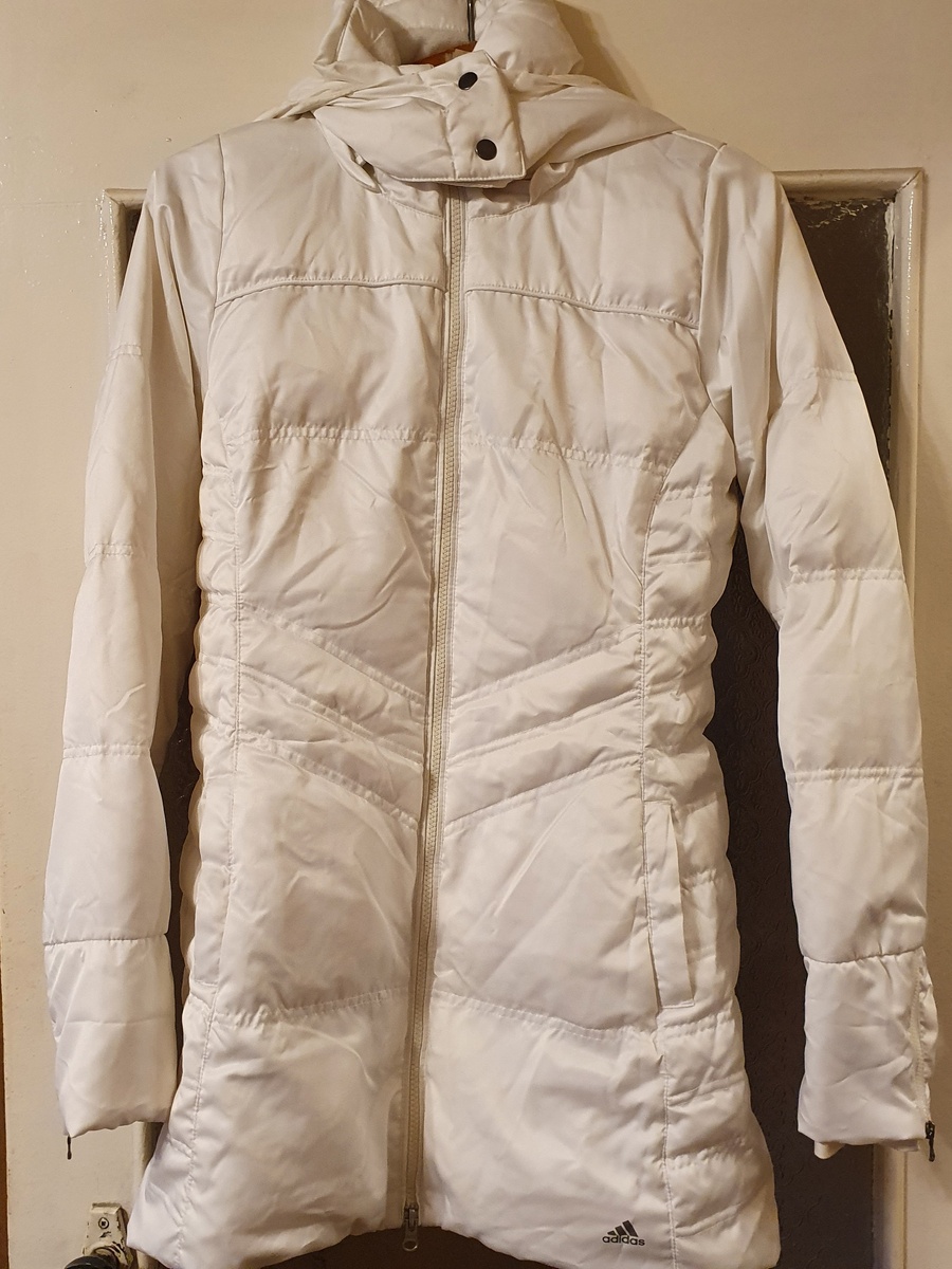 Такой  красавец уехал в Псков