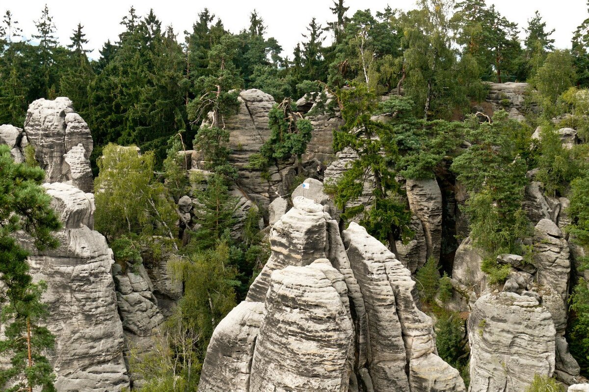 Фото из архива автора: в Чехии очень красивая природа, обычно туристов на природе на выходных больше, чем на Вацлавской площади в центре Праги.