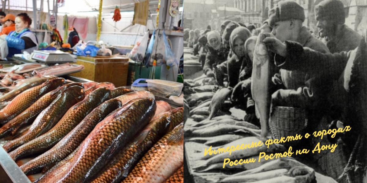 Рыбный промысел особенно процветал на Дону