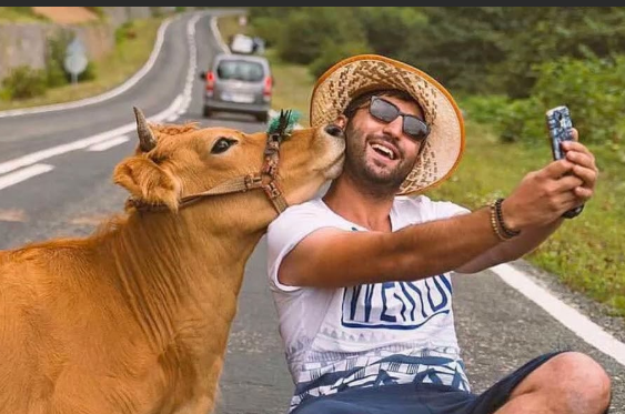 иллюстрация из открытых источников интернет