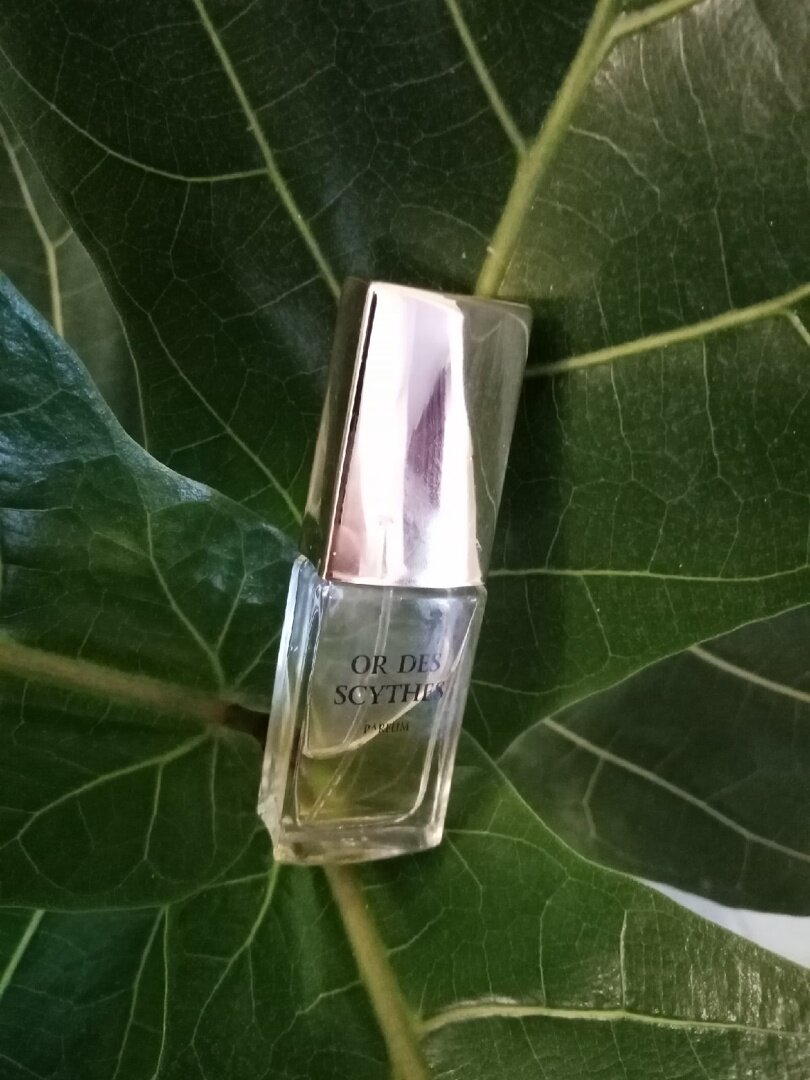 Мой малышок среди зеленых аккордов