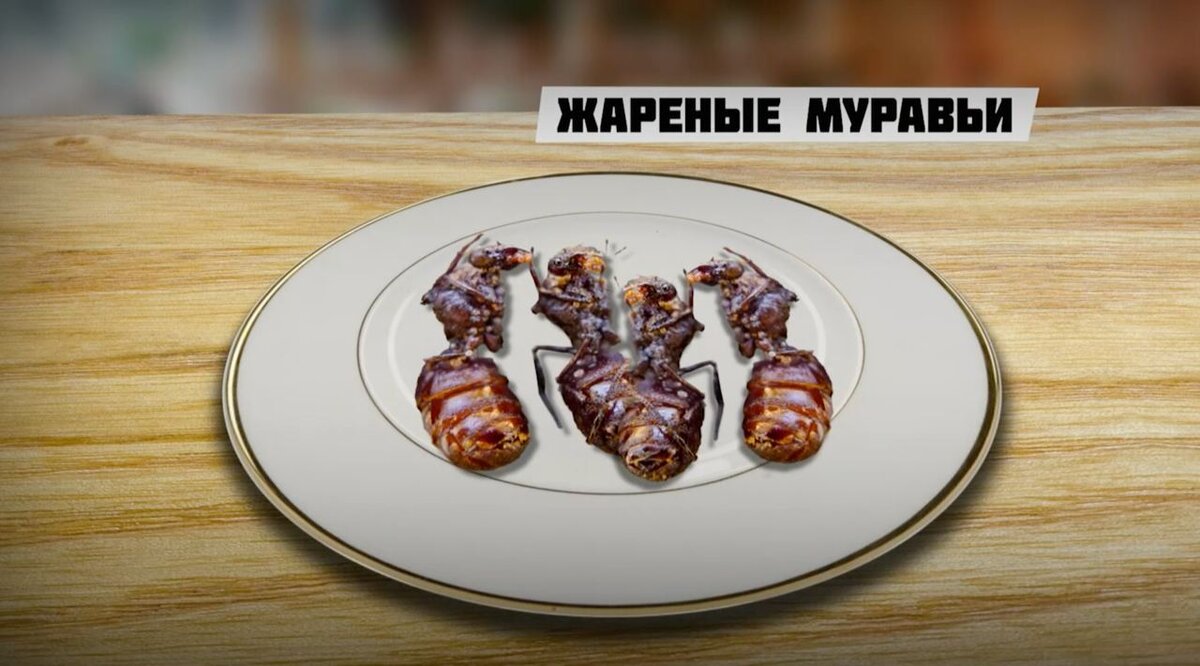 В ШКОЛЬНЫХ СТОЛОВЫХ НАЧНУТ ПОДАВАТЬ БЛЮДА ИЗ ЧЕРВЕЙ И КУЗНЕЧИКОВ! | Великий  Перепост Алексея Фролова | Дзен