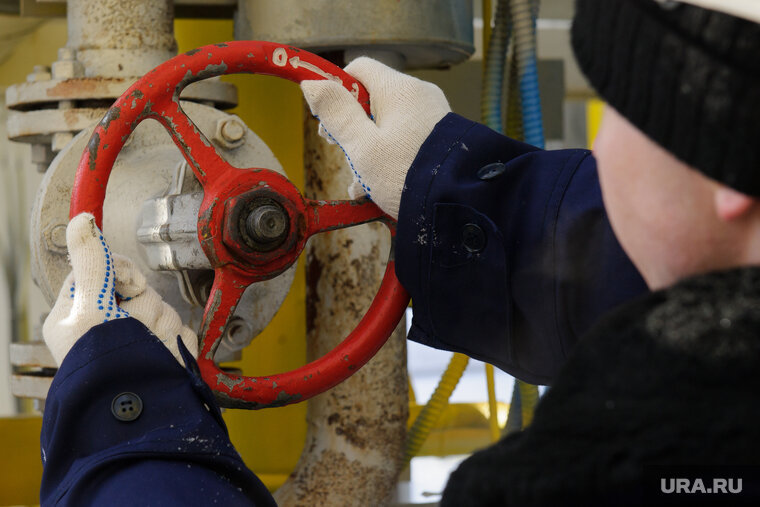 Фото из интернета