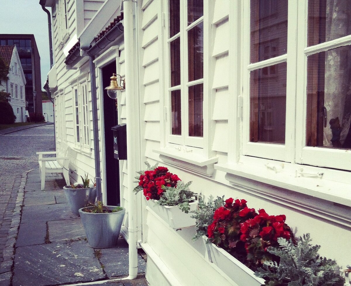 Горшки. В таких, наверное, уютно. 