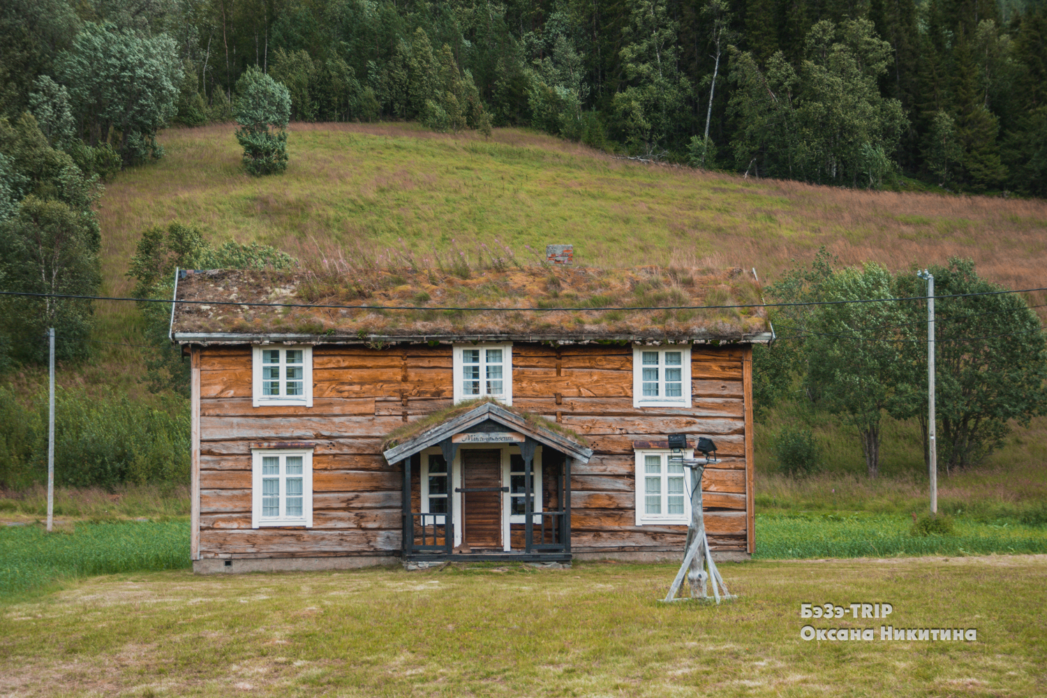 Овцы, которые пасутся на крыше дома. Зачем норвежцам трава на кровле и как над ними поэтому шутят соседи?:)4