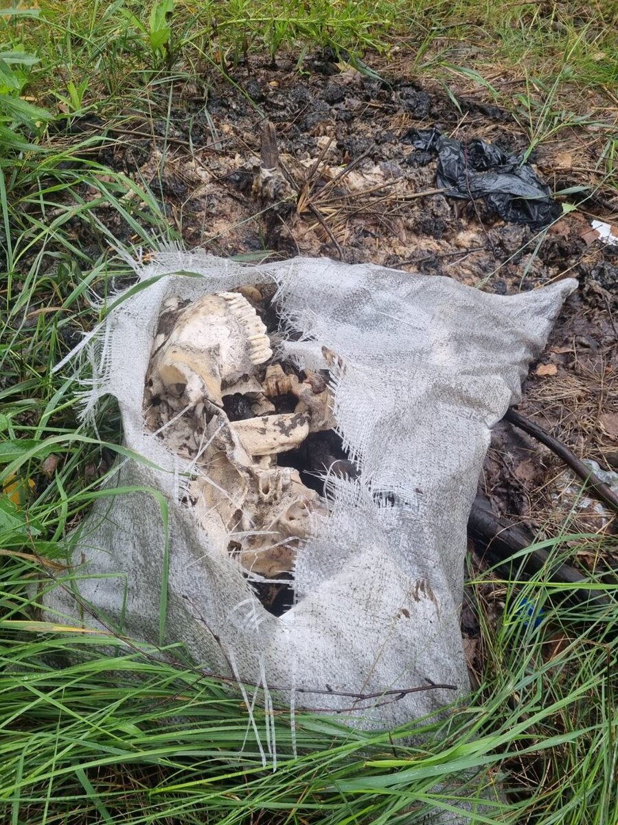 ФОТО: ЖИТЕЛИ ПОС. КРЕМЕНКУЛЬ.