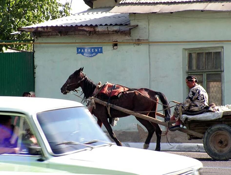 повозка с лошадью