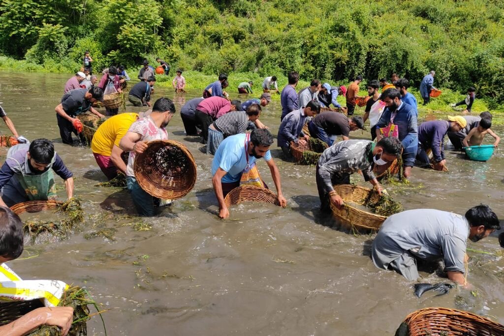           . : india.mongabay.com