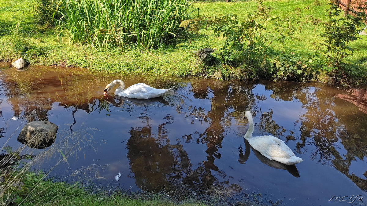 Георгий и Глафира