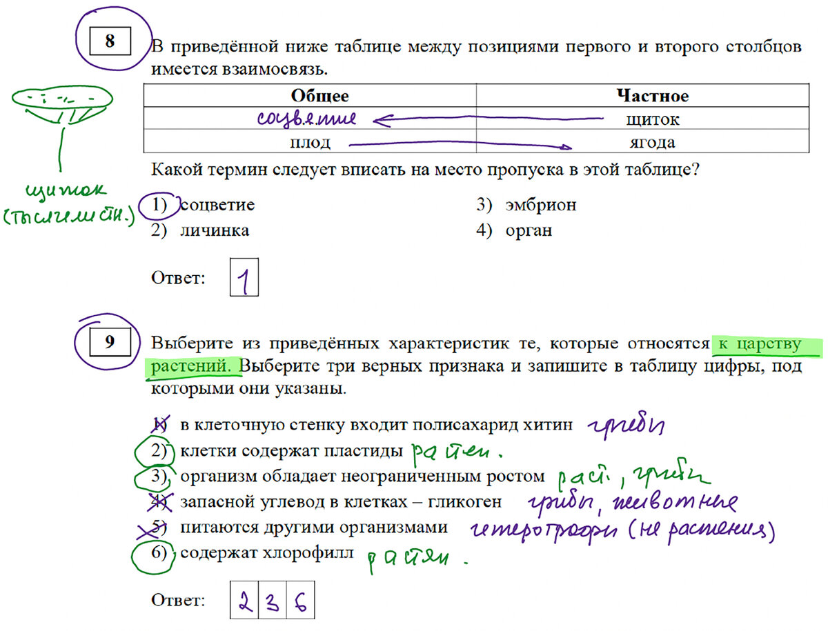 Ширяево огэ 2024