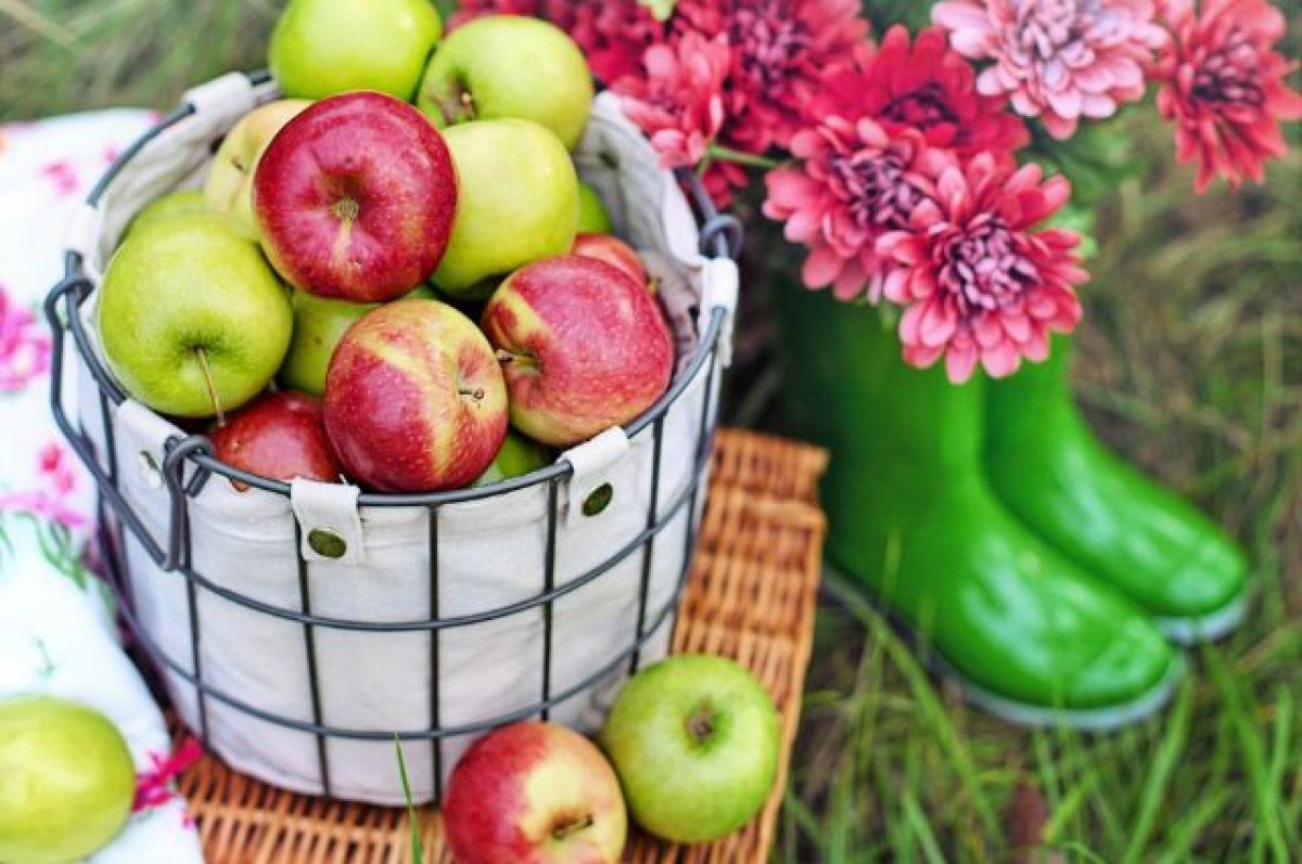    Рамис Мухаметзянов взял приз в номинации «Овощной богатырь».