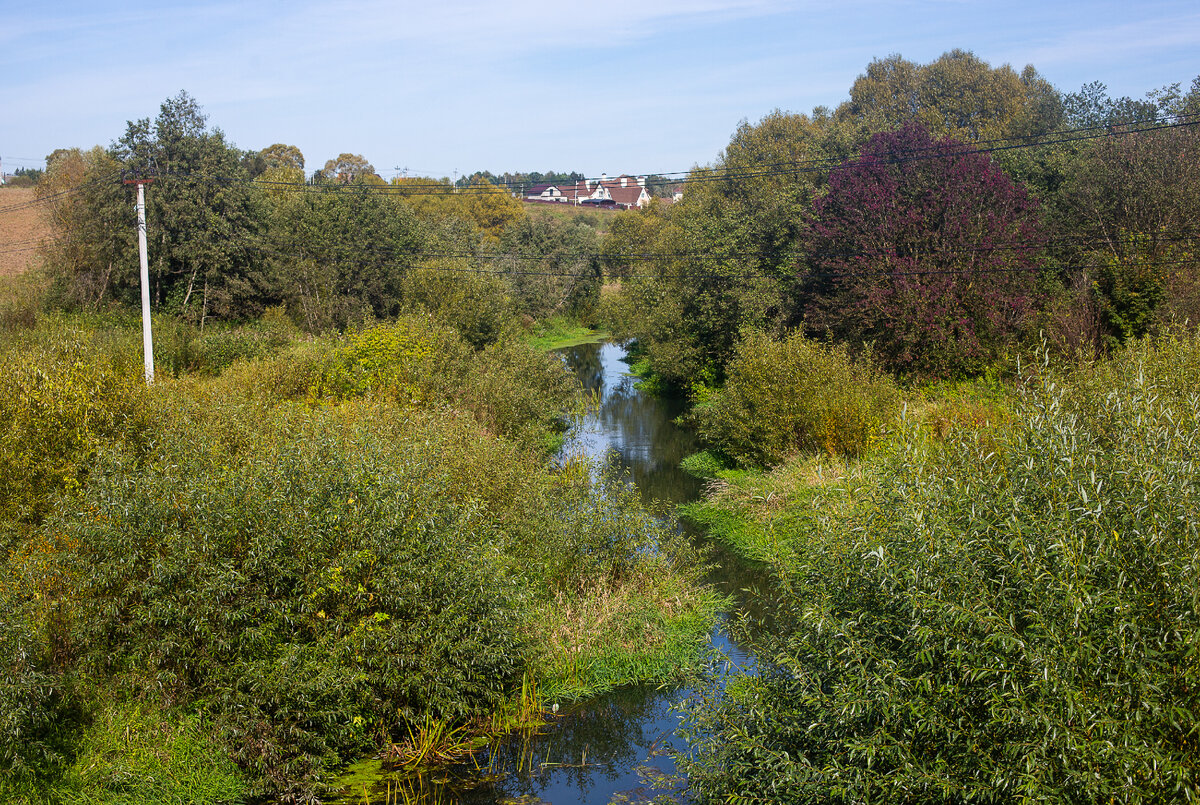 Река Маглуша у села Глебово. Городской округ Истра, Московская область. Фото автора статьи (листайте галерею, ещё 2 фото)