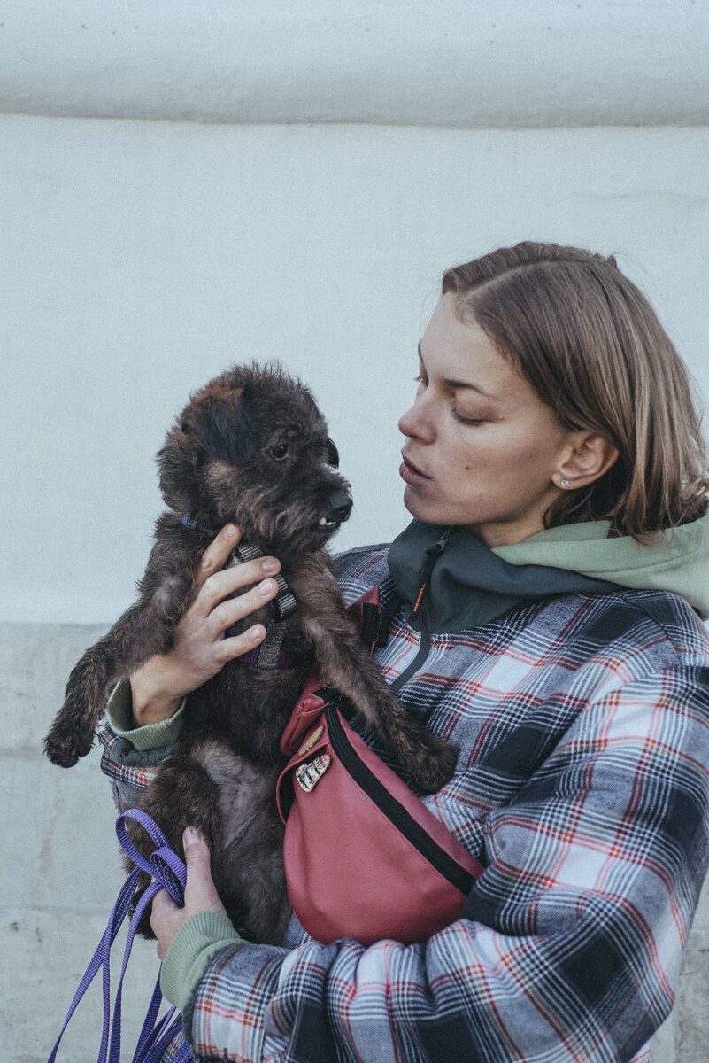 Поведение кобелей рядом с течными собаками - это не «про вредность» и «непослушание»