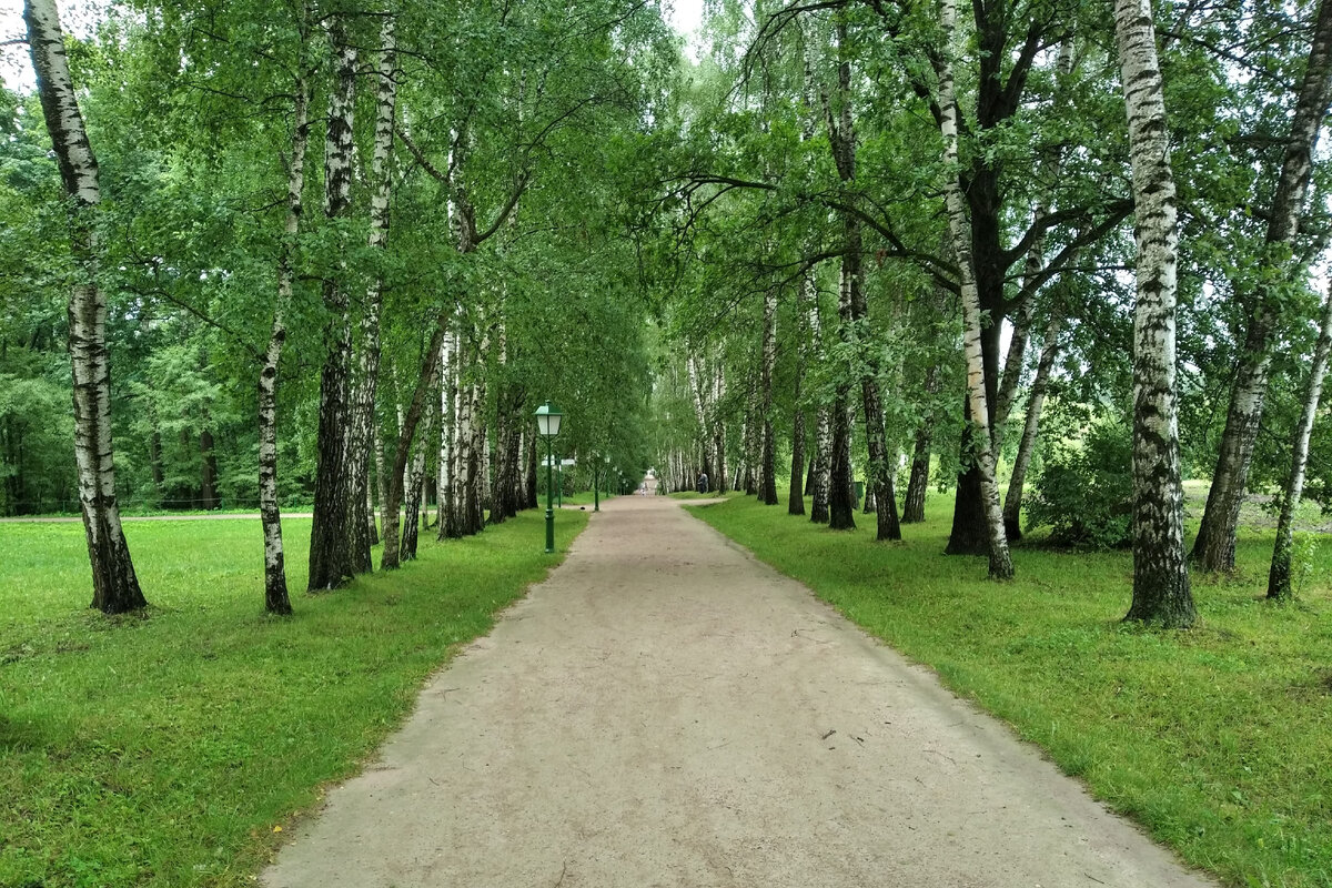 «Прешпект»