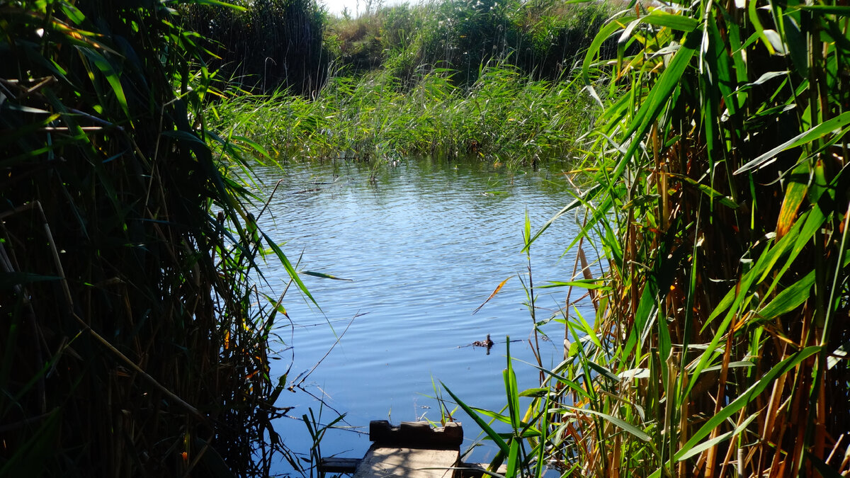 Фото автора.