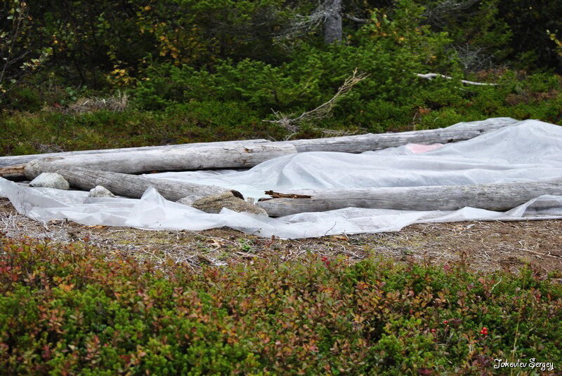  Первое, на что наткнулся, было несколько схронов. Под пленкой спрятаны одежда, иконы и всякая литература.