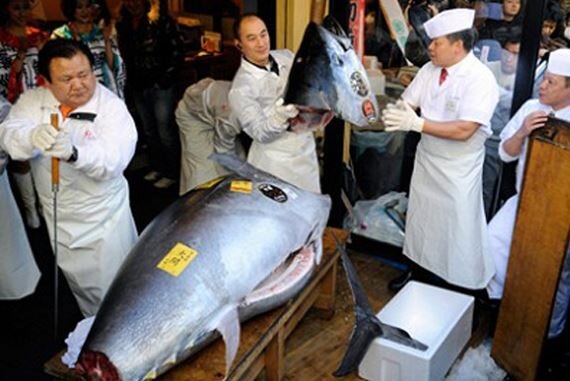 Китайский рыбный аукцион