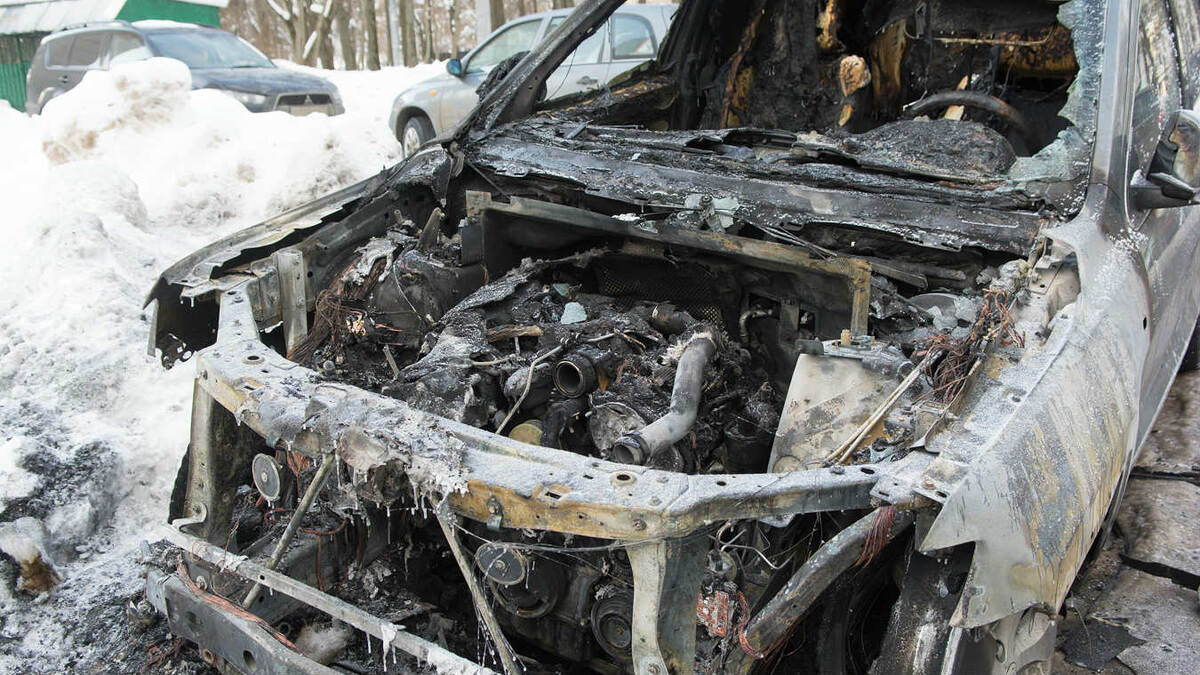 .фото: Александр Сайганов