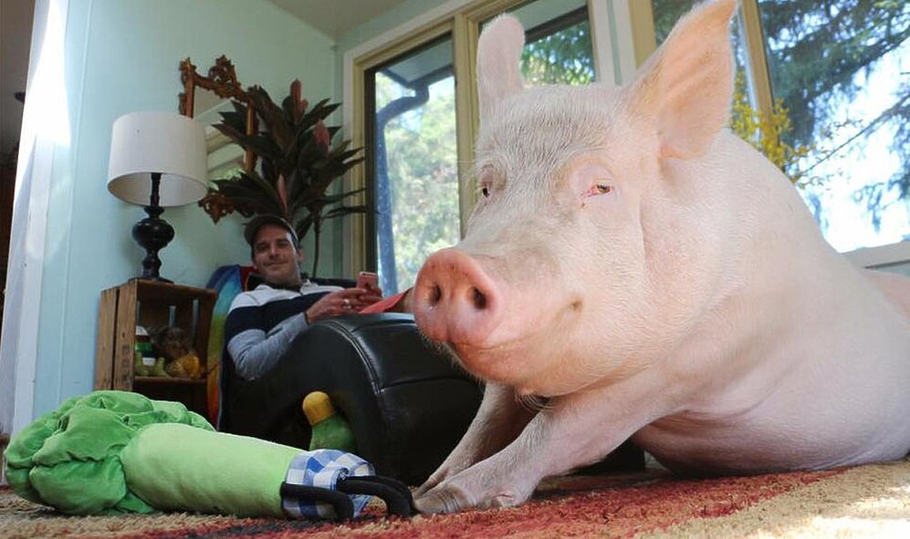 Возраст и пол