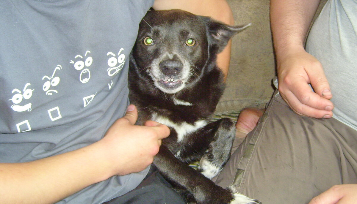 Помним Досю такой) 