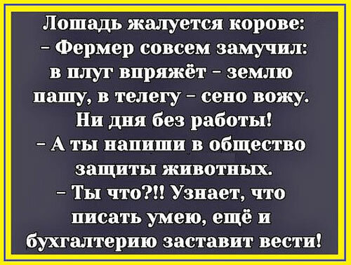 Отравление у попугаев: симптомы и лечение