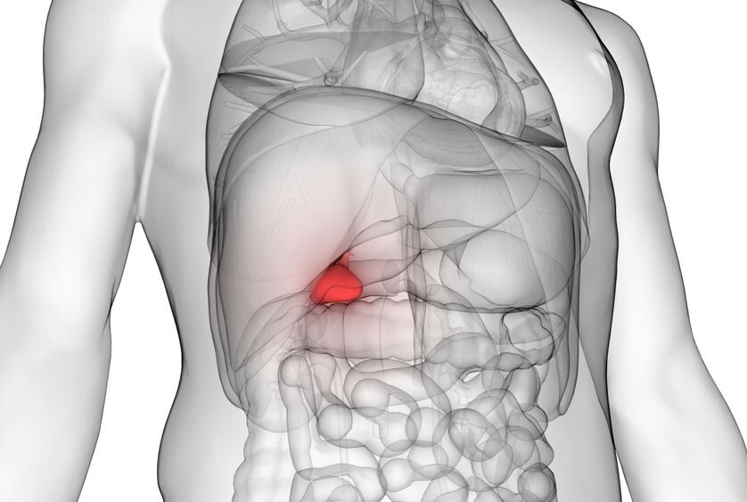 Фото взято из открытых источников