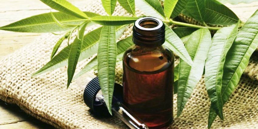 Лечение кожных заболеваний