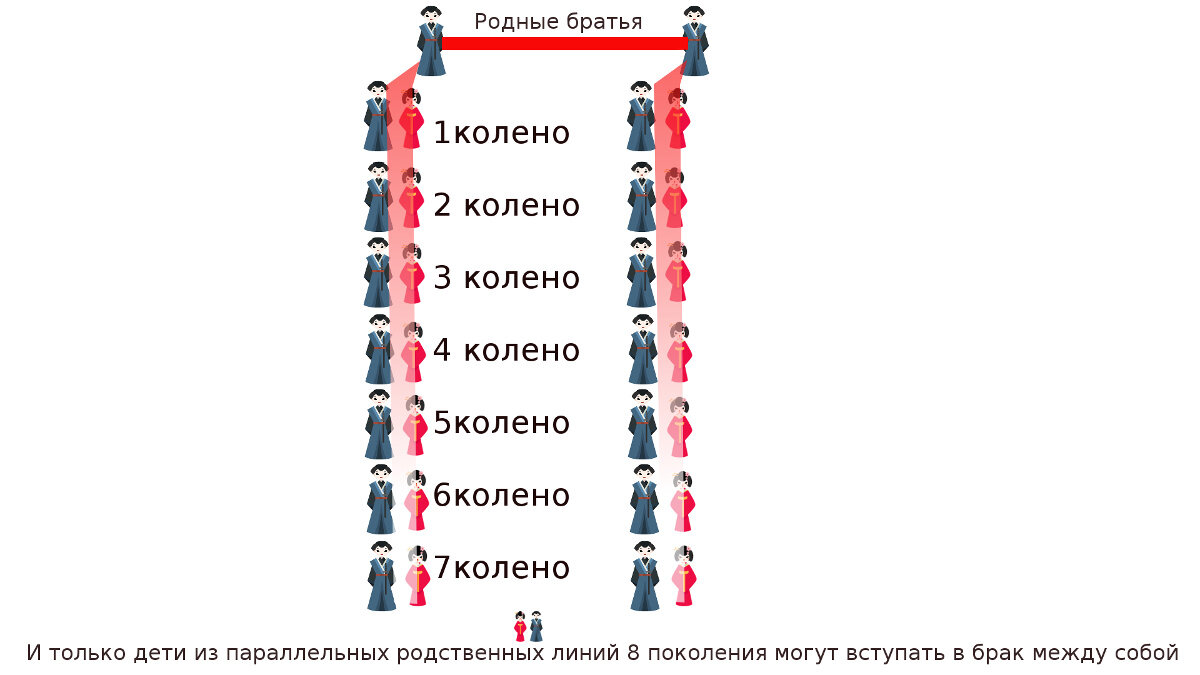 Родственники 3 колена. Схема кровного родства до 7 колена. Комплекс упражнений после эндопротезирования тазобедренного. Реабилитация при переломе бедренной кости. Через 3 колена.