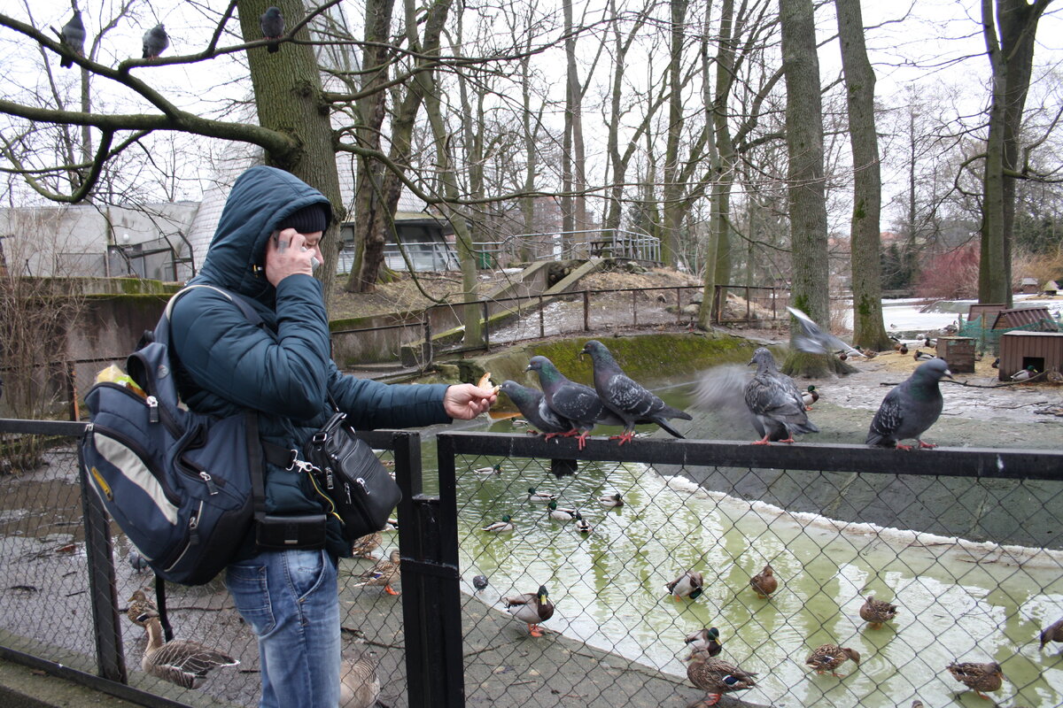 Очередь за булочкой в зоопарке Калининграда