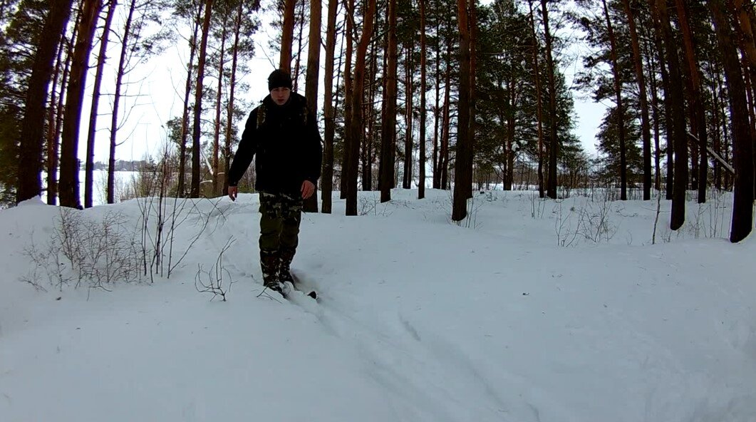 Охотничьи лыжи по глубокому снегу.
