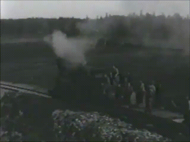 Торфозаготовки на Соловках.