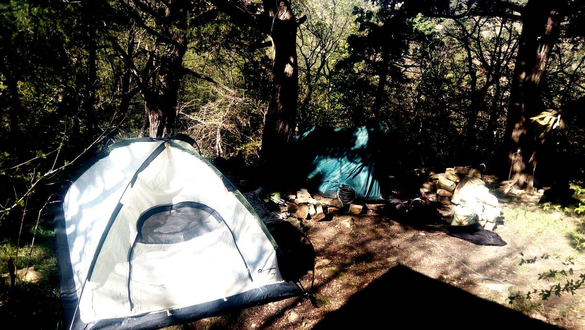 Мы нашли две палатки в лесу