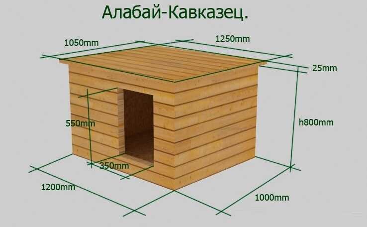 Мастер-класс для начинающих