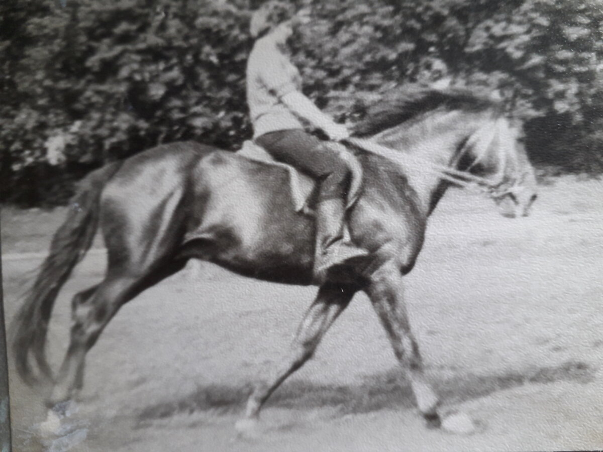 Фото из частной коллекции