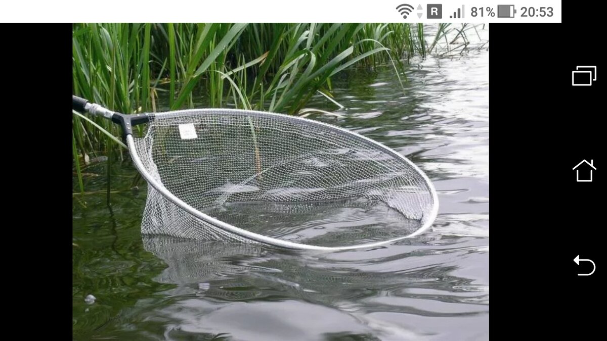 фото Правильно ли взять подсак на рыбалку + подсунуть подсак