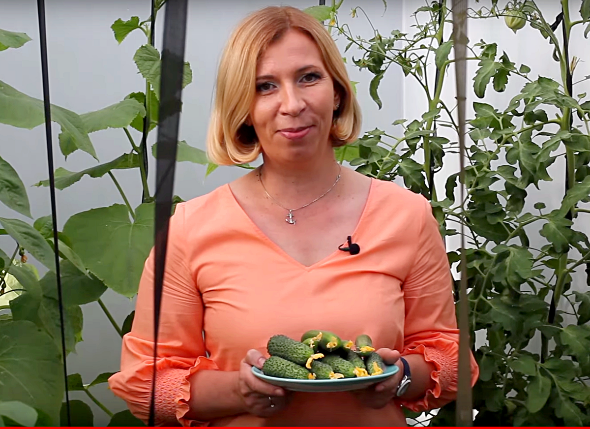 Марина рыкалина биография личная жизнь семья дети