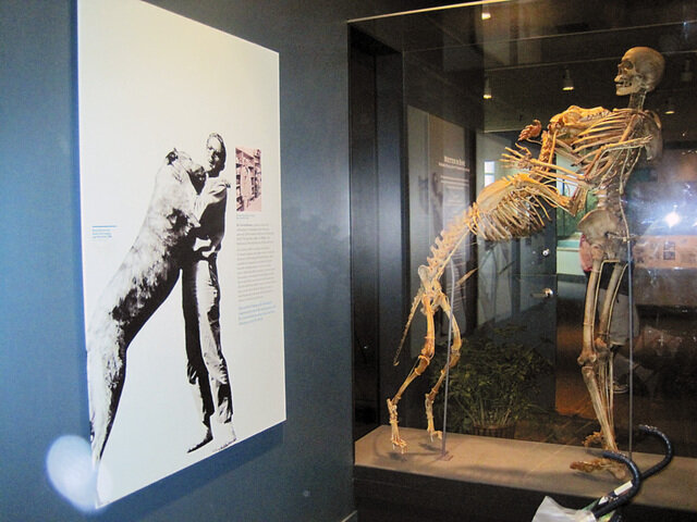 Фото взято из открытого источника.