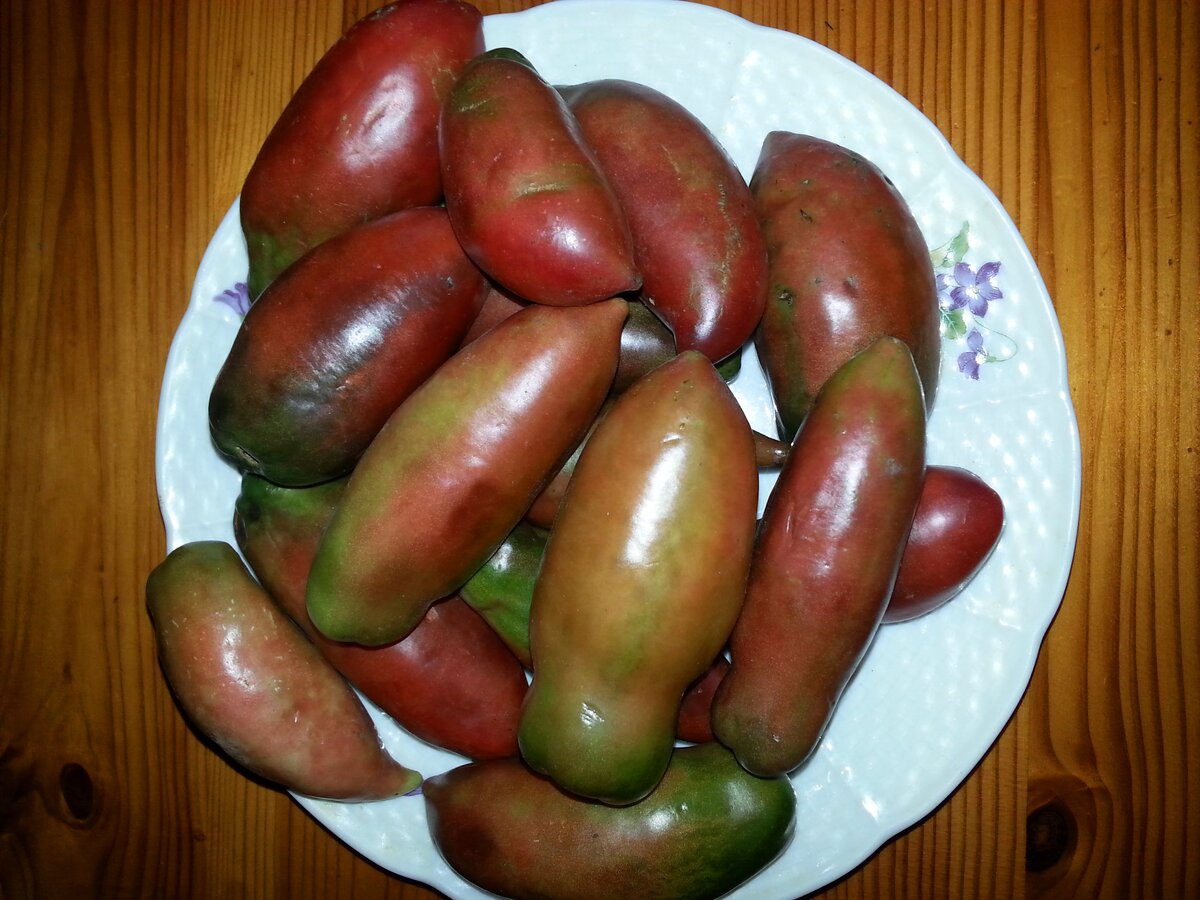 Томат Фиолетовая гордость Весселя