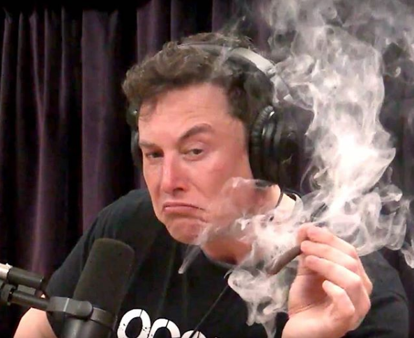 фото: официальный аккаунт Илона Маска
@elonmusk