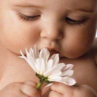 В переводе с греческого диатез обозначает «наклонность» или «склонность» и не является заболеванием, а только предрасположенностью к возникновению различных болезней. Поэтому диатез у грудничков считается не заболеванием, а только особым состоянием организма, которое характеризуется высокой вероятностью развития у ребенка определенных патологий: