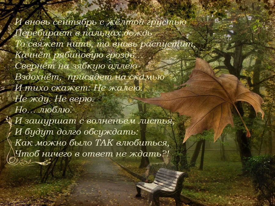 Сентябреет тихо сентябреет ход времен. Стихи про ноябрь. Августеет тихо августеет ход времён. Стихи про осень. Стихи про сентябрь.