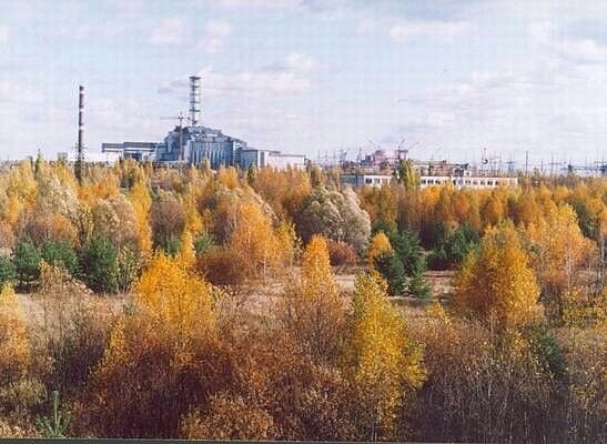 Лес на фоне станции