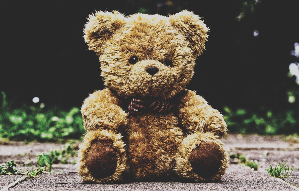 The source: https://pixabay.com/ru/photos/%D0%BF%D0%BB%D1%8E%D1%88%D0%B5%D0%B2%D1%8B%D0%B9-%D0%BC%D0%B5%D0%B4%D0%B2%D0%B5%D0%B4%D1%8C-%D1%87%D1%83%D1%87%D0%B5%D0%BB%D0%B0-%D0%B6%D0%B8%D0%B2%D0%BE%D1%82%D0%BD%D1%8B%D1%85-3599680/