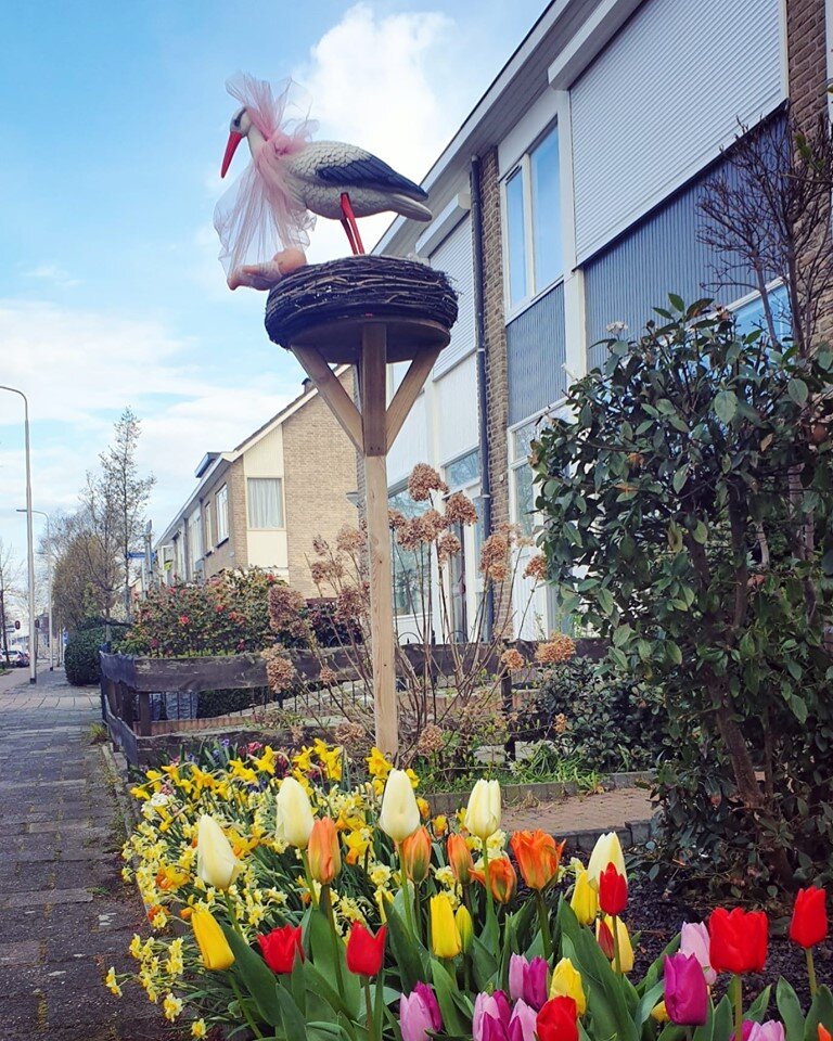 А у этих соседей-девочка.