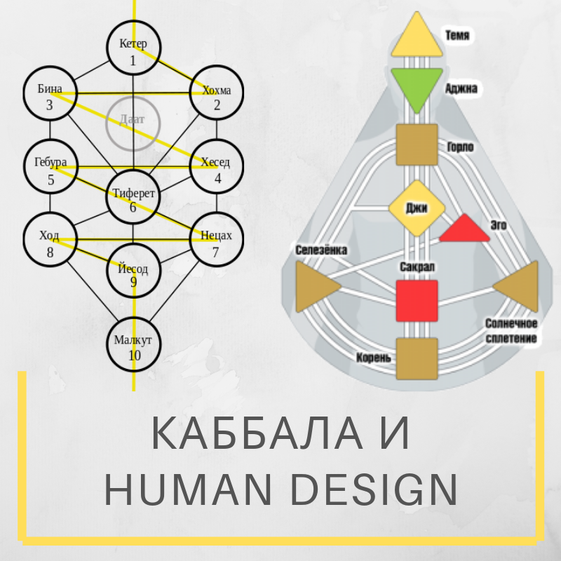 Дизайн человека рассчитать карту. Дизайн человека. Контуры в дизайне человека. Дизайн человека символы. Центры в дизайне человека