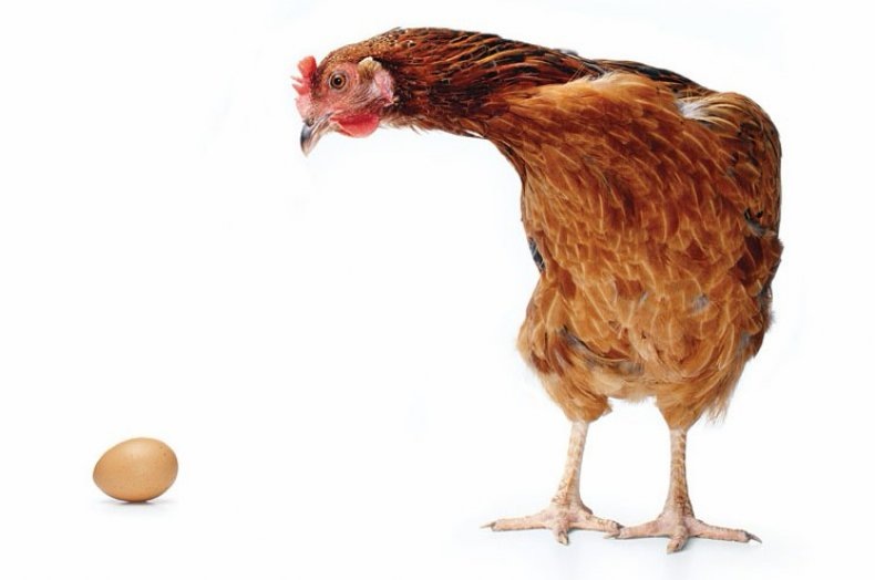 Яндекс. Картинки