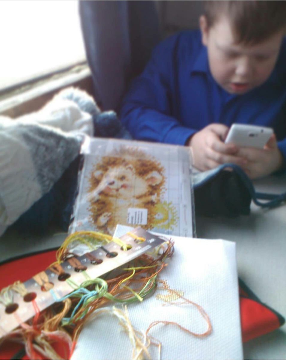 В дороге. Есть время на вышивку. 