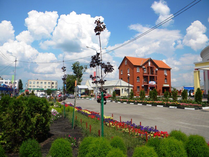 Листайте галерею  ,  нажимая   на  стрелку  справа  в  центре.