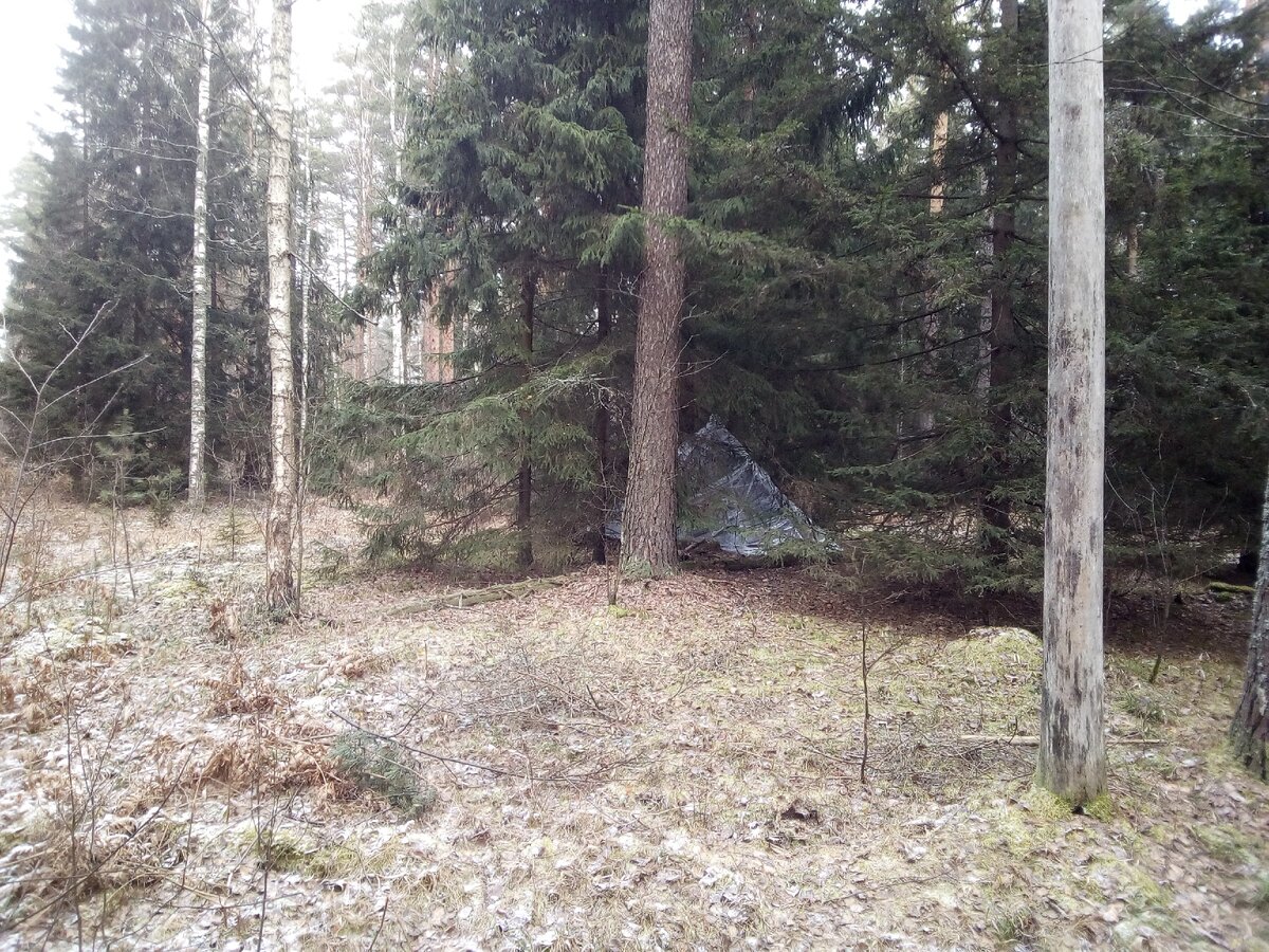 Вигвам» для жизни в лесу  Дом из веревок и палок | Уйду в лес | Дзен