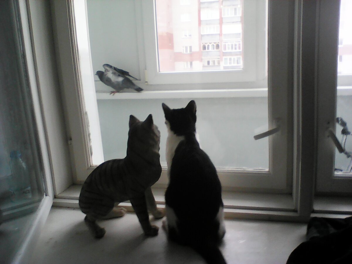 Трое. Один из них не живой. Кто? 